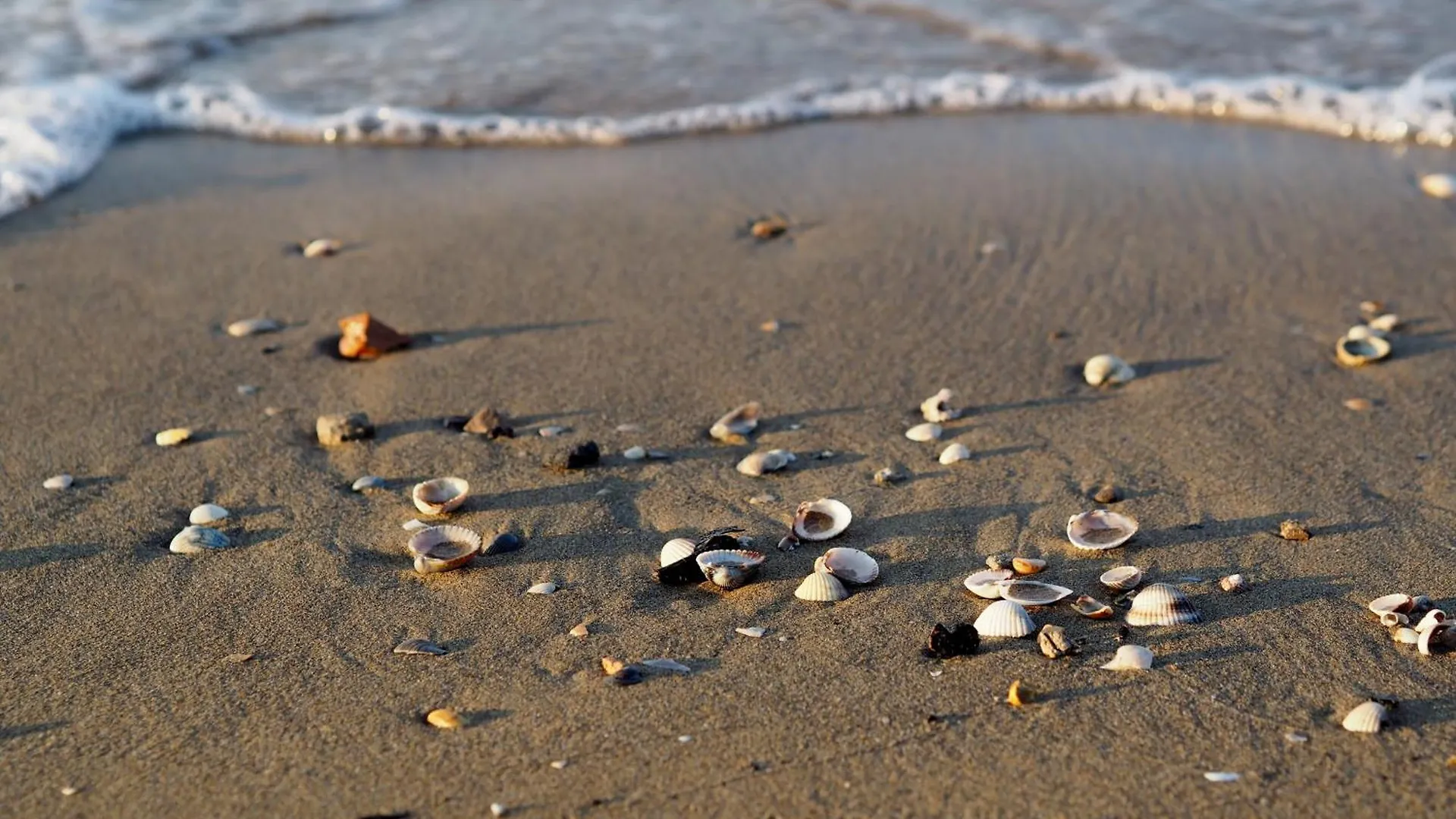Wonderful Apartment Close To The Beach With Garden Bibione